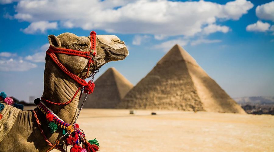 Cairo Tours & Package Trips | Cairo and Sharm Holiday - 7 Days