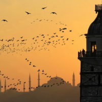Private Turkey tour with Istanbul mosques, Cappadocia hot air balloons, and Ephesus ruins