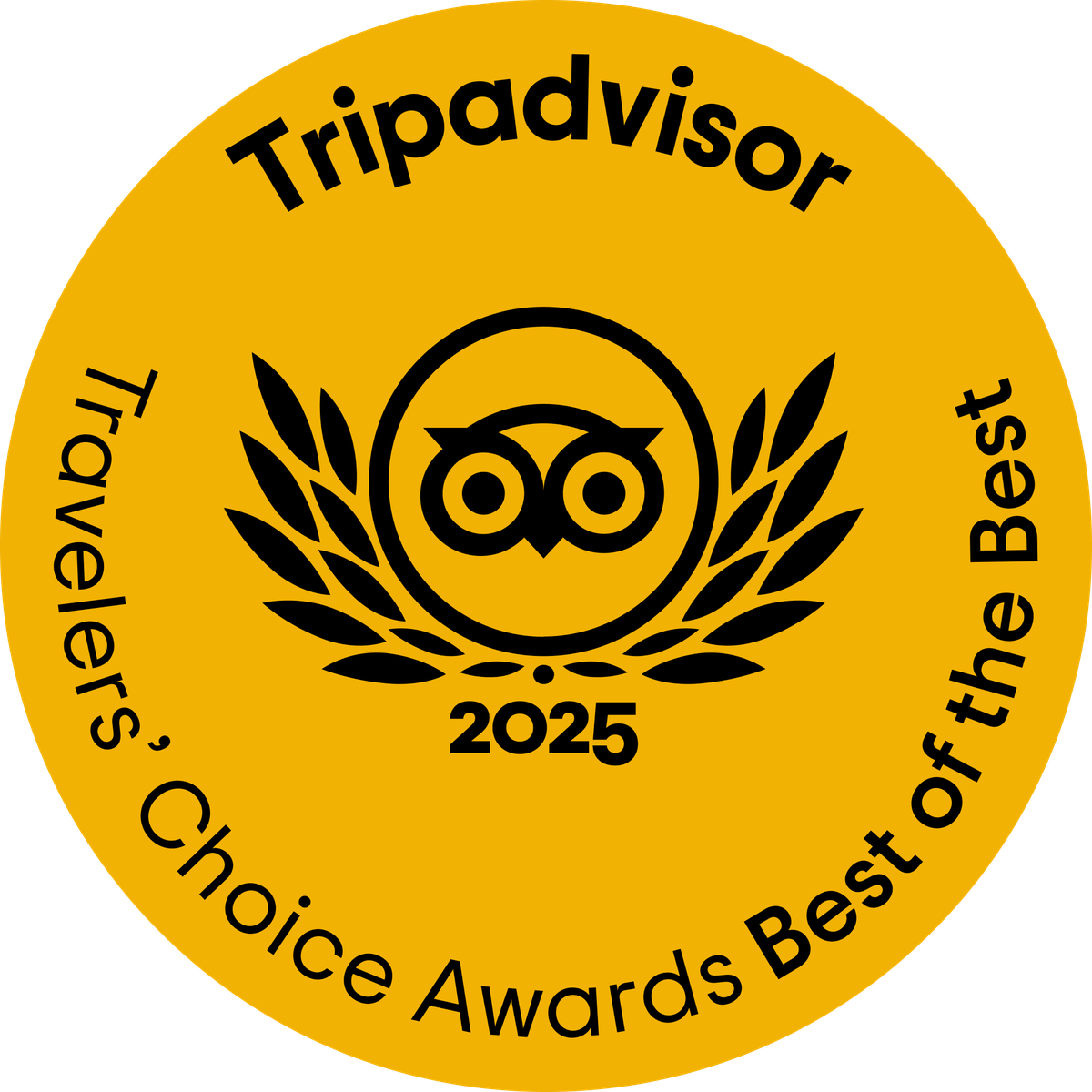 tripadvisor 2025 travelers choice